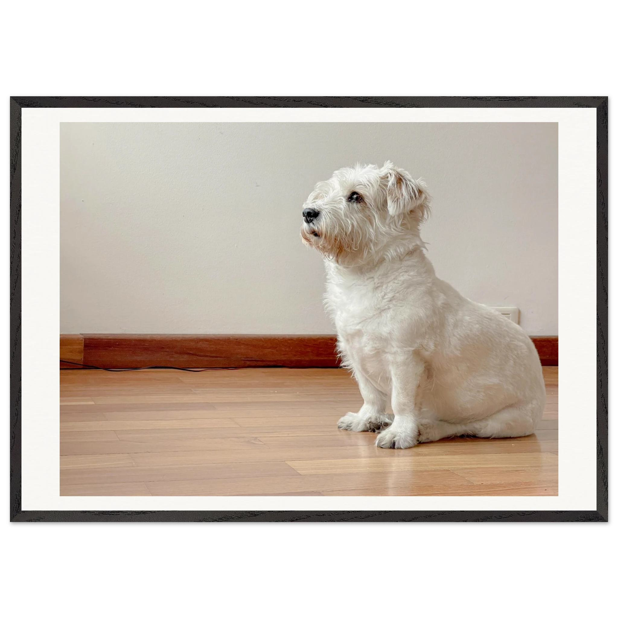Muñeca rescue dog framed print displayed in modern living room