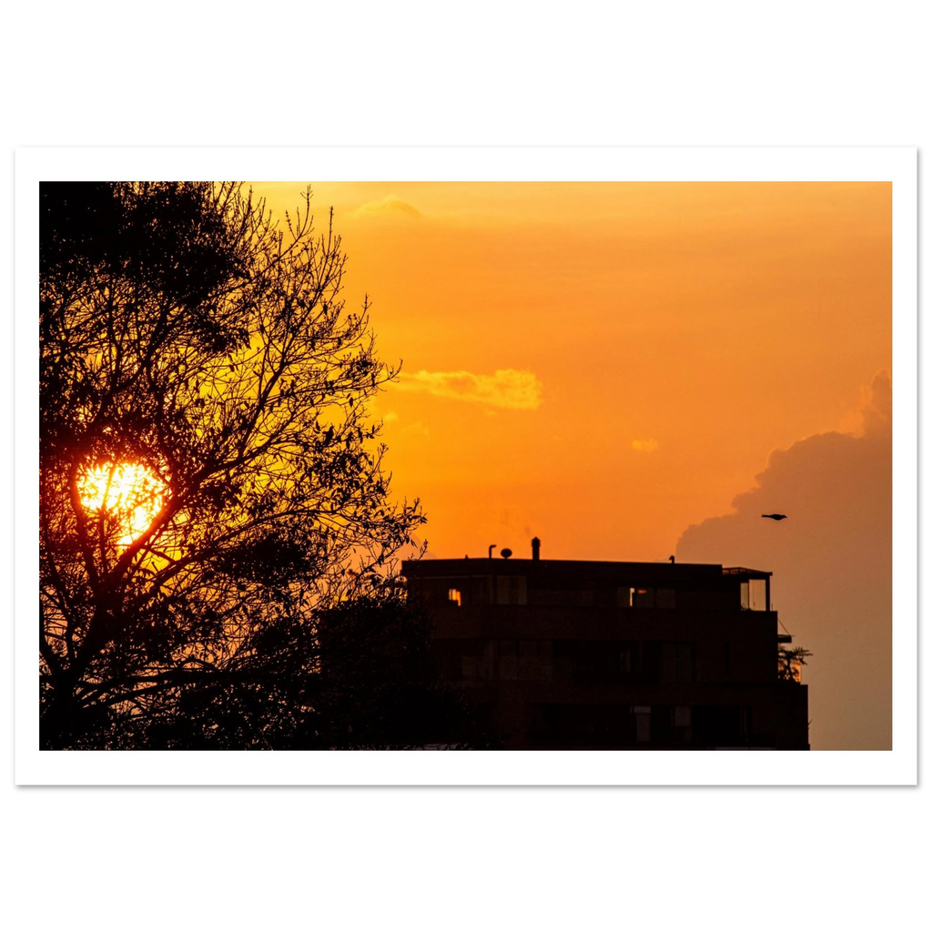 Bogotá sunset Andes cloudscape with bird flying home – fine art photography print by Camilo Tobar