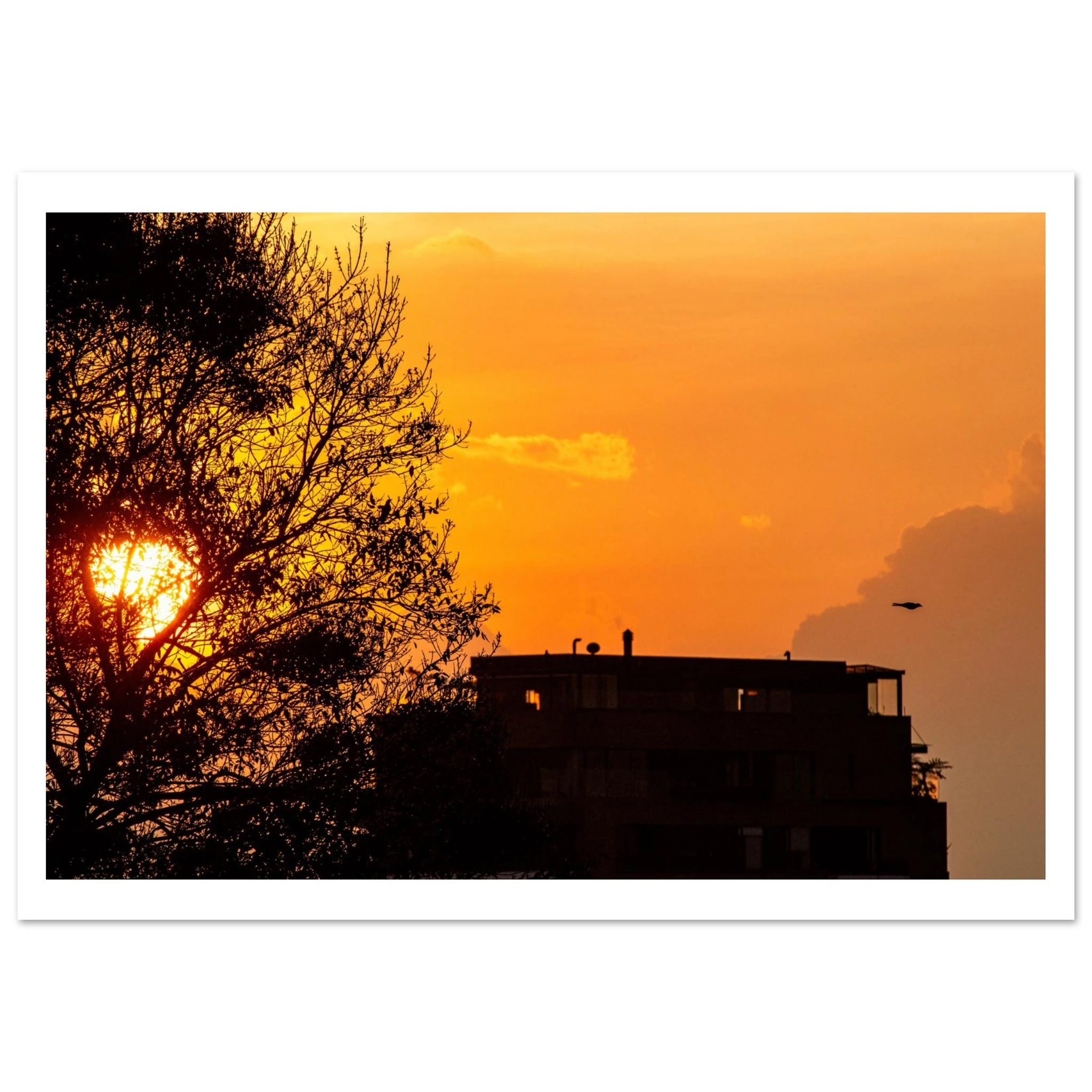 Bogotá sunset Andes cloudscape with bird flying home – fine art photography print by Camilo Tobar
