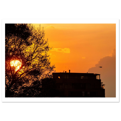Bogotá sunset Andes cloudscape with bird flying home – fine art photography print by Camilo Tobar
