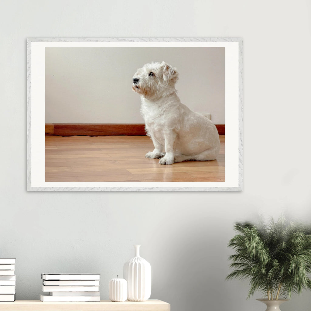 Muñeca rescue dog framed print detail – shatterproof plexiglass protection