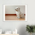 Muñeca rescue dog framed print detail – shatterproof plexiglass protection