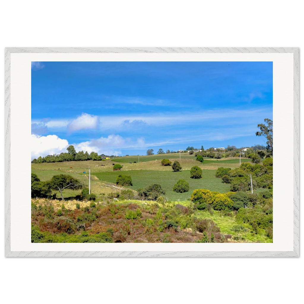 Colombian highland morning framed print displayed in modern interior