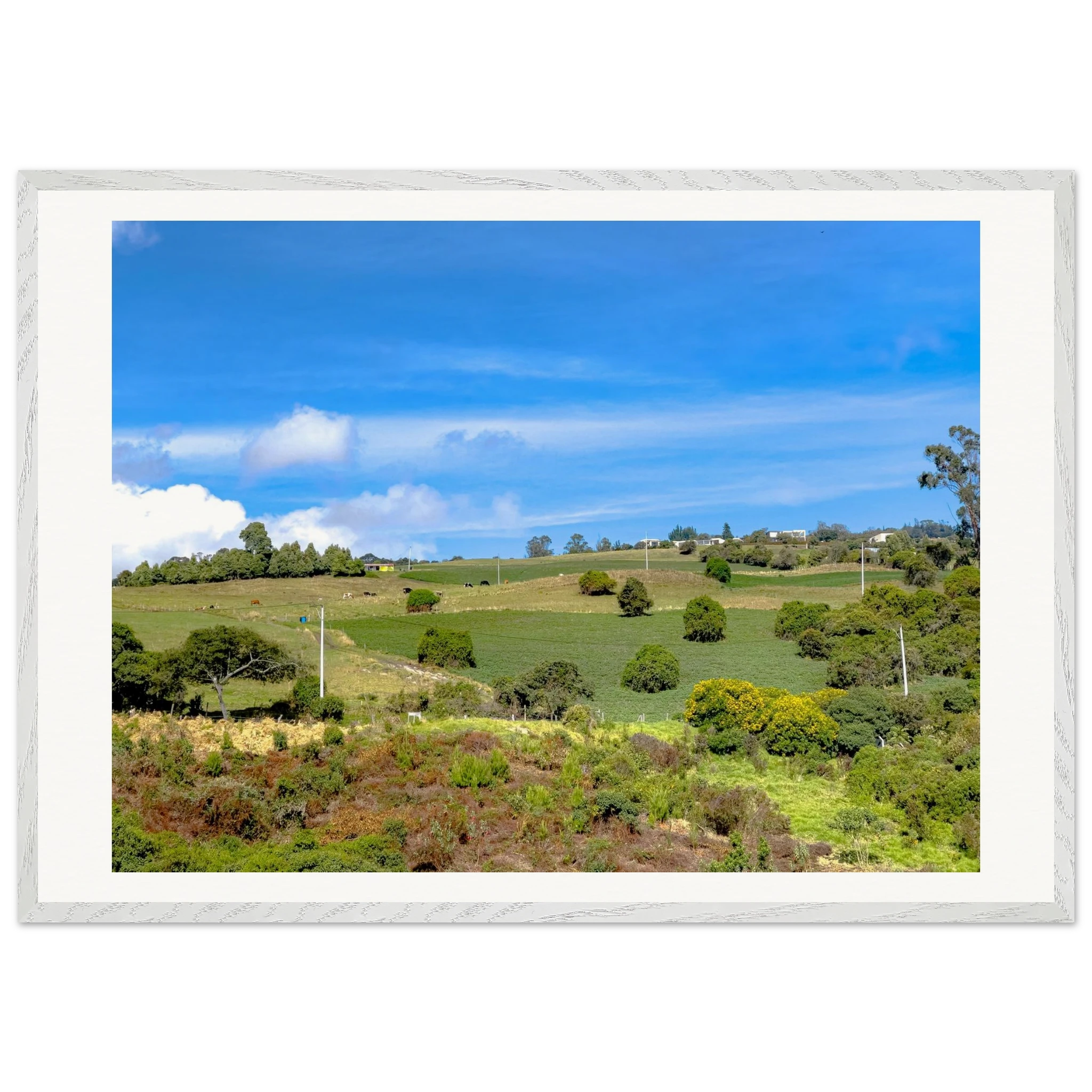 Colombian highland morning framed print displayed in modern interior