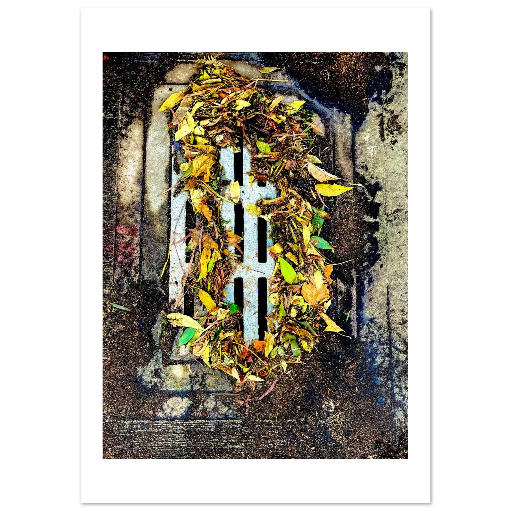 Water organizes leaf nature macro fine art photography print by Camilo Tobar