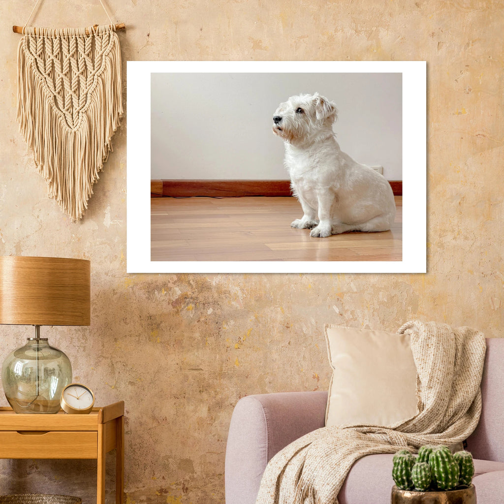 Muñeca adopted dog wall art – A0 gicléé print on FSC-certified matte paper