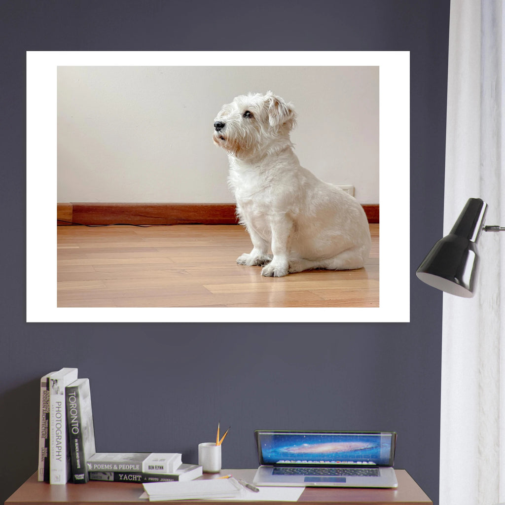 Muñeca rescue dog portrait detail – fine art print for dog lovers